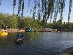 -迎泽公园