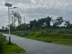 -两河城市森林公园