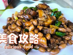 -荔枝红五号农庄