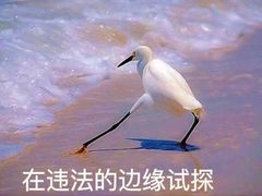 -不舍昼夜咖啡馆