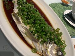 青麻椒蒸白水鱼-申粤轩酒楼·三十年粤菜经典(丁香花园店)
