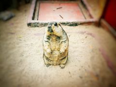 -长鹿旅游休博园