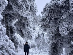 -九华山风景区