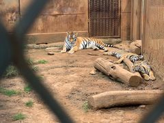 -昆明动物园