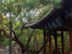 -千佛山风景名胜区