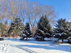 -中国建设银行哈尔滨培训中心