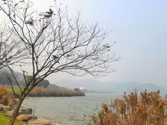 -东钱湖旅游度假区