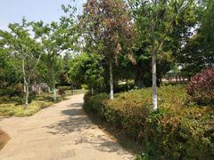 -洛龙公园