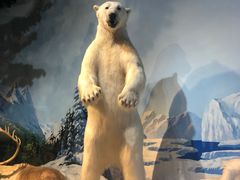 -陕西自然博物馆