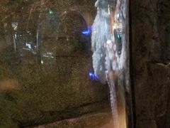 -西雅图水族馆