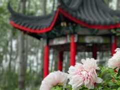 -仁和公园(顺义区)