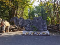 -云南勐巴娜西珍奇园