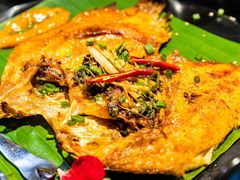-雀舞云南菜(乐客城店)