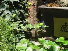 -川旺角川粤融合菜•海景餐厅(星海广场店)