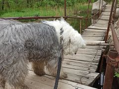 -碓臼峪自然风景区