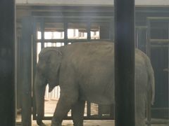 -新疆天山野生动物园