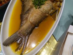 -三强鸽子(中原路店)