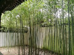 -秋霞圃