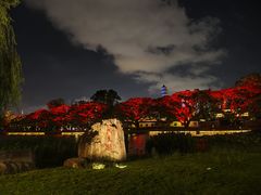 -江心屿景区