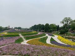 -南通洲际绿博园