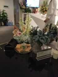 -MJ skin care国际皮肤管理中心