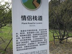 -昆山城市生态森林公园