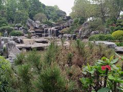 -东莞植物园