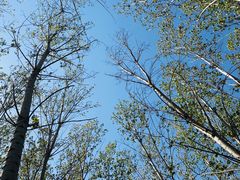 -东方巨龟苑景区