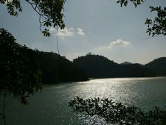 -广州市流溪河国家森林公园