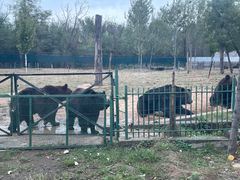 -秦皇岛野生动物园