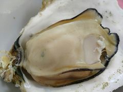 海岛蚝-龙坛美食店