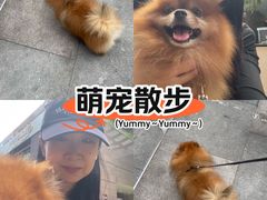 -中粮·祥云小镇