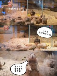 -Mr·Kuma酷么先生雪之乐园