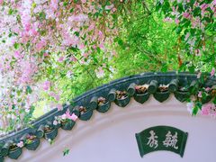 -深圳国际园林花卉博览园