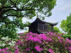 -惠山古镇·寄畅园