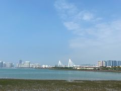 -万绿园
