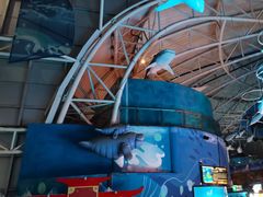 -烟台海昌鲸鲨海洋公园