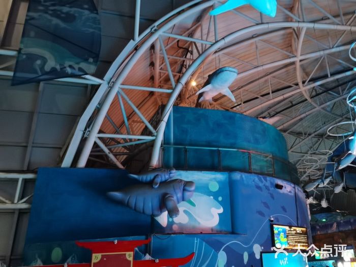 烟台海昌鲸鲨海洋公园图片