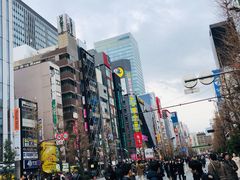 -秋叶原电器街
