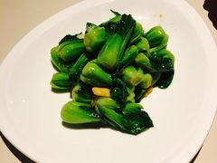 -T館·花园艺术餐厅