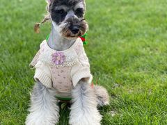 -佳雯宠物医院(四明中路分院)