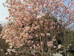 -石家庄市动物园