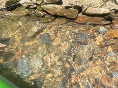-龙颈河漂流