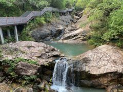 -广州白江湖森林公园