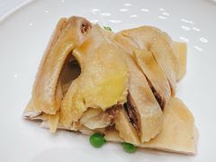 -新吉士·上海菜(浦东LCM置汇旭辉店)