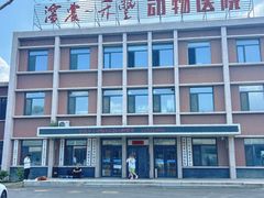 -派美特宠物医院·核磁CT·骨科肿瘤·疑难转诊(沈农禾丰店)