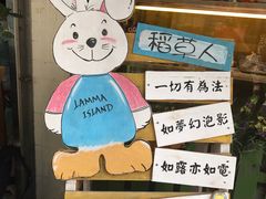 -南丫岛