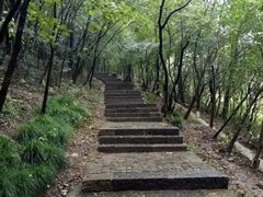 -紫金山山顶公园