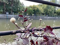 -晓港公园