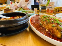 -陈麻婆豆腐总店
